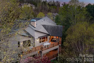 256 Senator Reynolds Rd, Asheville, NC 28804 - Photo 6