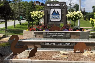 301 Pinnacle Inn Rd, Beech Mountain, NC 28604 - Photo 40