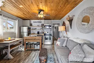 301 Pinnacle Inn Rd, Beech Mountain, NC 28604 - Photo 20