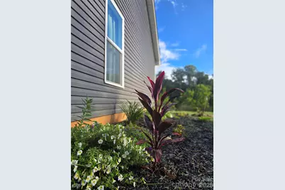 19 Higgins Road, Weaverville, NC 28787 - Photo 2
