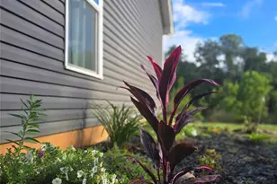 19 Higgins Rd, Weaverville, NC 28787 - Photo 1