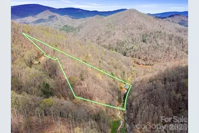 3829 Coxes Creek Road, Burnsville, NC 28714 - Photo 42