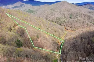 3829 Coxes Creek Rd, Burnsville, NC 28714 - Photo 42