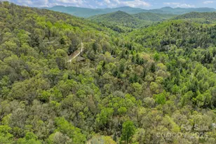 32 Indian Knob Rd, Asheville, NC 28803 - Photo 42