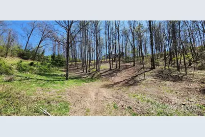 31 Sweet Fern Parkway #42, Asheville, NC 28804 - Photo 2