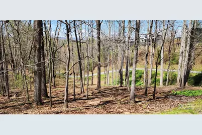 31 Sweet Fern Parkway #42, Asheville, NC 28804 - Photo 4