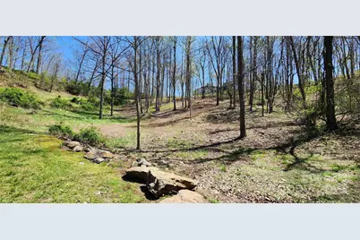 31 Sweet Fern Parkway #42, Asheville, NC 28804 - Photo 1