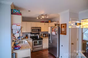 10202 Orchard Grass Ct, Charlotte, NC 28278 - Photo 26