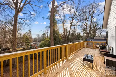 1413 Hateras Avenue, Charlotte, NC 28216 - Photo 24