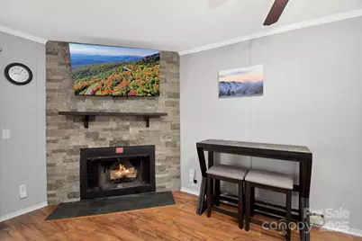 301 Pinnacle Inn Road #3130, Beech Mountain, NC 28604 - Photo 6