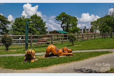 301 Pinnacle Inn Road #3130, Beech Mountain, NC 28604 - Photo 34