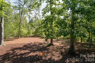 1 Cedar Chine Dr, Asheville, NC 28803 - Photo 20