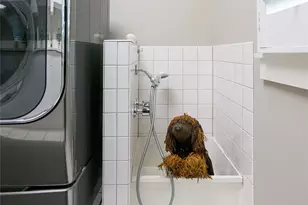 1 Cedar Chine Dr, Asheville, NC 28803 - Photo 34