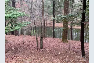 101 Lakemont Drive, Flat Rock, NC 28731 - Photo 8