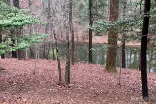 101 Lakemont Dr, Flat Rock, NC 28731 - Photo 8