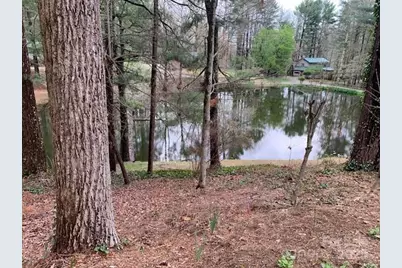 101 Lakemont Drive, Flat Rock, NC 28731 - Photo 22