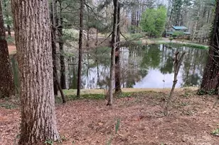 101 Lakemont Dr, Flat Rock, NC 28731 - Photo 22