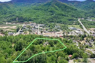 19 Old Patton Hill Rd, Swannanoa, NC 28778 - Photo 26