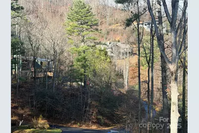 42 Spring Cove Road, Asheville, NC 28804 - Photo 2