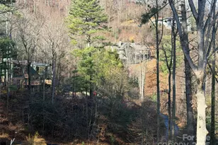 42 Spring Cove Rd, Asheville, NC 28804 - Photo 2