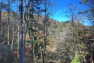 42 Spring Cove Rd, Asheville, NC 28804 - Photo 4