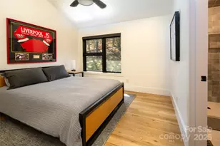 42 Spring Cove Rd, Asheville, NC 28804 - Photo 26