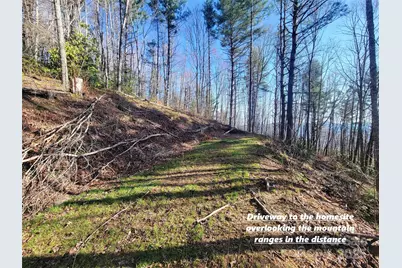 111 Digging Seng Trail #138, Waynesville, NC 28785 - Photo 2