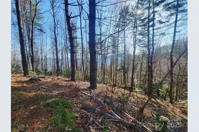 111 Digging Seng Trail #138, Waynesville, NC 28785 - Photo 1