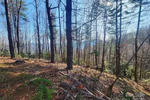 111 Digging Seng Trl, Waynesville, NC 28785 - Photo 1