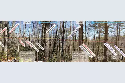 111 Digging Seng Trail #138, Waynesville, NC 28785 - Photo 6