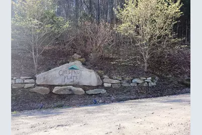 111 Digging Seng Trail #138, Waynesville, NC 28785 - Photo 20