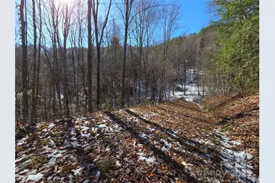 111 Digging Seng Trail #138, Waynesville, NC 28785 - Photo 16