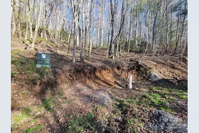 111 Digging Seng Trail #138, Waynesville, NC 28785 - Photo 4