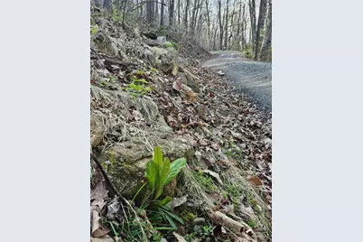 99999 Pink Fox Cove Road, Weaverville, NC 28787 - Photo 12