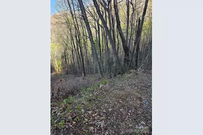 99999 Pink Fox Cove Road, Weaverville, NC 28787 - Photo 4