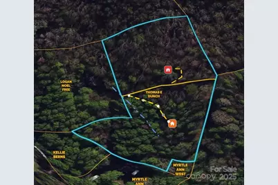 99999 Pink Fox Cove Road, Weaverville, NC 28787 - Photo 14