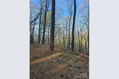 99999 Pink Fox Cove Road, Weaverville, NC 28787 - Photo 8