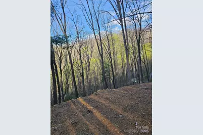 99999 Pink Fox Cove Road, Weaverville, NC 28787 - Photo 10