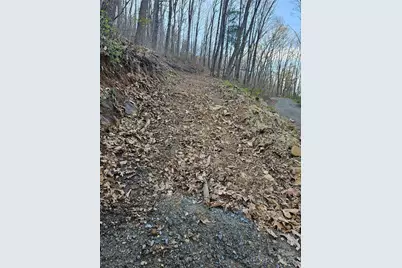 99999 Pink Fox Cove Road, Weaverville, NC 28787 - Photo 6