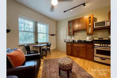 5 W Walnut Street #202, Asheville, NC 28801 - Photo 8