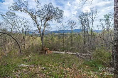 Lot 2 Wake Robin Way, Asheville, NC 28805 - Photo 24