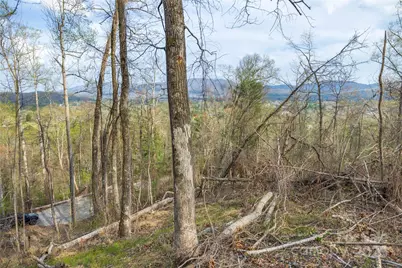 Lot 2 Wake Robin Way, Asheville, NC 28805 - Photo 26