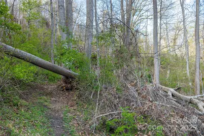 Lot 2 Wake Robin Way, Asheville, NC 28805 - Photo 20