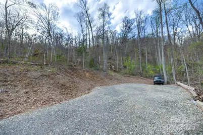 Lot 2 Wake Robin Way, Asheville, NC 28805 - Photo 16