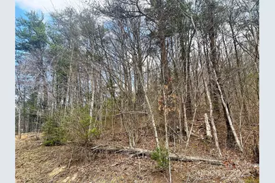 Tbd Moonbeam Lane #101 & 102, Clyde, NC 28721 - Photo 12