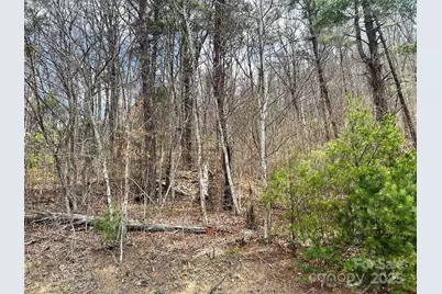 Tbd Moonbeam Lane #101 & 102, Clyde, NC 28721 - Photo 16