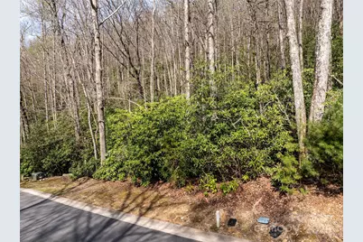 50 Settings Boulevard, Black Mountain, NC 28711 - Photo 6