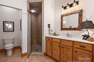 3436 Lake Adger Pkwy, Mill Spring, NC 28756 - Photo 42