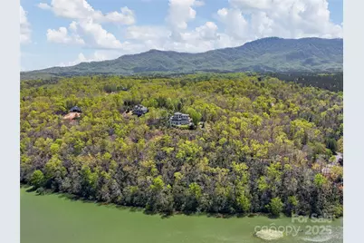 3436 Lake Adger Parkway, Mill Spring, NC 28756 - Photo 46