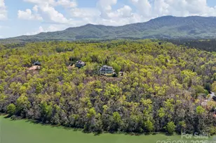 3436 Lake Adger Pkwy, Mill Spring, NC 28756 - Photo 46